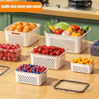Keep Food Fresh 3X Longer: The Ultimate Produce Saver